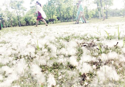 IMG一版1.jpg IMG一版1.jpg