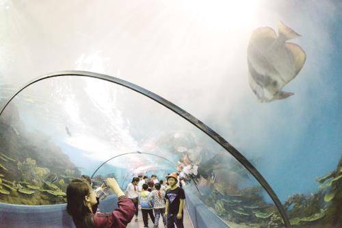 海洋馆3.JPG