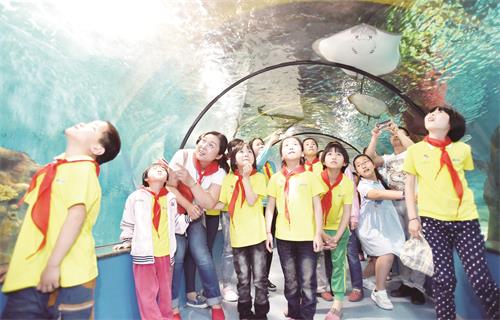 日报一报11 (2).jpg 日报一报11 (2).jpg