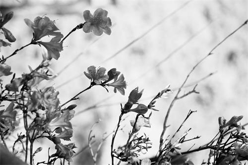 60700304七版1.JPG 60700304七版1.JPG