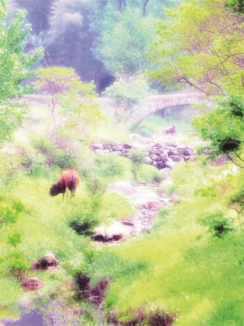 郑金强2.jpg 郑金强2.jpg