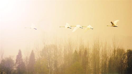 田维刚1.jpg 田维刚1.jpg