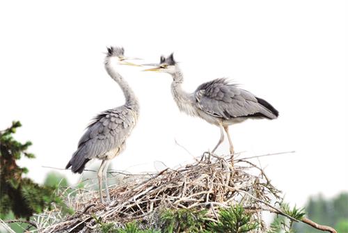 郑金强4.jpg 郑金强4.jpg