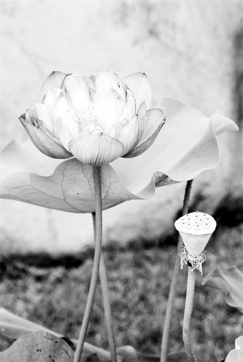 日报六版照片 002.jpg 日报六版照片 002.jpg