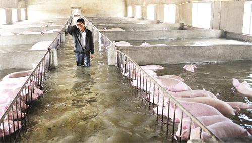 日报二版DSC_7222.JPG 日报二版DSC_7222.JPG