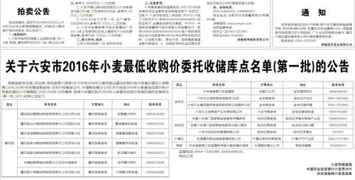 福娃官方提供.png