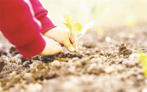 71500337五版.jpg 71500337五版.jpg