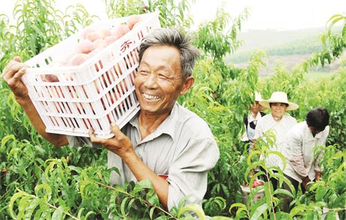 CHL_4271五版.JPG CHL_4271五版.JPG