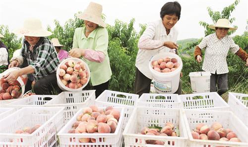 CHL_4199五版.JPG CHL_4199五版.JPG