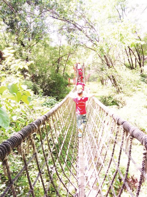 2781八版7.jpg 2781八版7.jpg