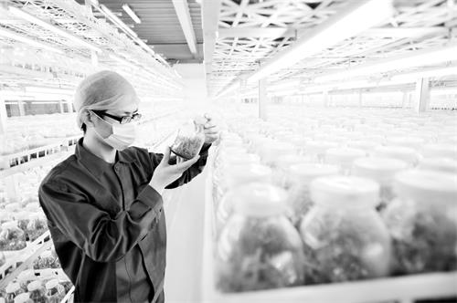 日报三版72500301.JPG 日报三版72500301.JPG