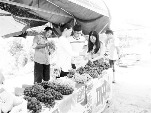 日报六版80900566.JPG 日报六版80900566.JPG