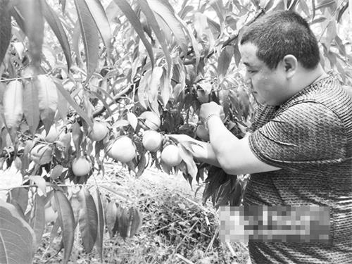 20168二版1.jpg 20168二版1.jpg