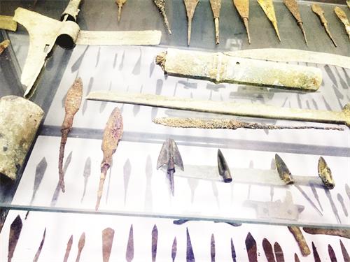 日报五版IMG_8526.JPG 日报五版IMG_8526.JPG