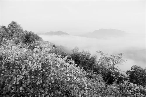 七82600118.jpg 七82600118.jpg