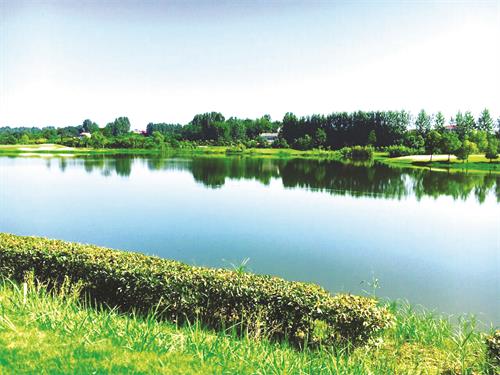 悠然南山.jpg 悠然南山.jpg