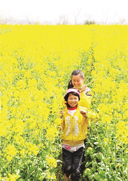 日报五版DSC_7951.JPG 日报五版DSC_7951.JPG