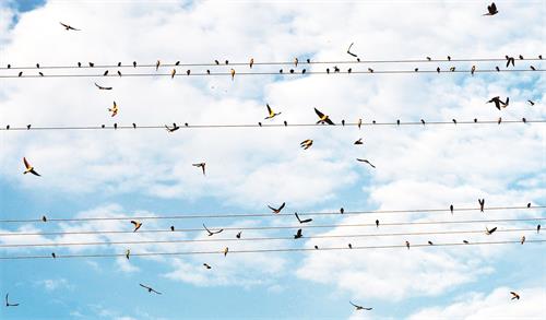 日报五版914134531.jpg 日报五版914134531.jpg