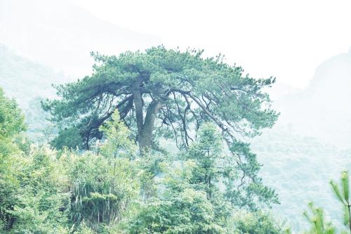 90600124八版.jpg 90600124八版.jpg