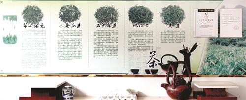 茶叶3432.jpg 茶叶3432.jpg