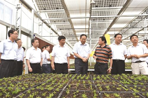 省市领导在金寨小南京村调研石斛光伏大棚生产.jpg