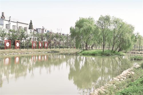 金安区4666.JPG 金安区4666.JPG