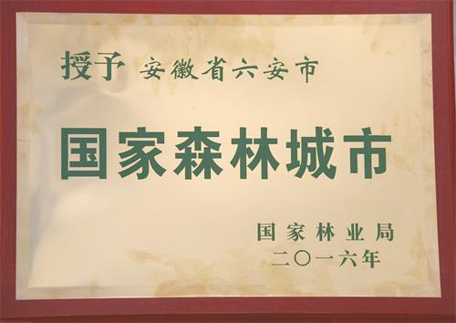 园林局照片 004.jpg