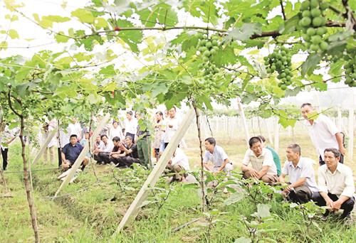 舒城县城五版1.jpg 舒城县城五版1.jpg