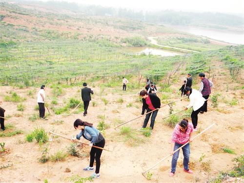 裕安区五版2.JPG 裕安区五版2.JPG