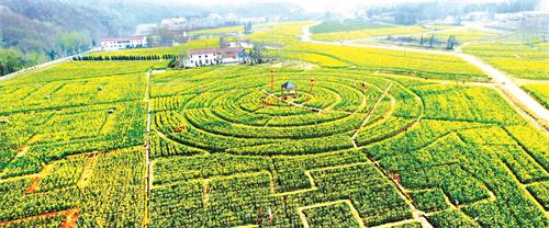 九月生态园.JPG 九月生态园.JPG