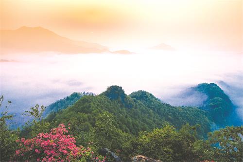 大别山之春.jpg 大别山之春.jpg