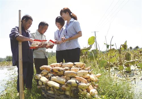 微企创业 邮储先行.jpg