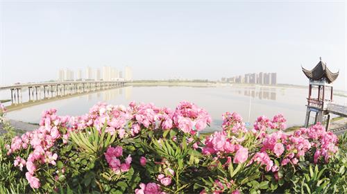 A1800281五版.JPG A1800281五版.JPG