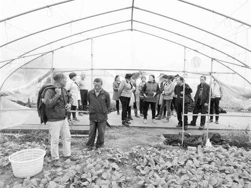 A25日报六3.JPG A25日报六3.JPG