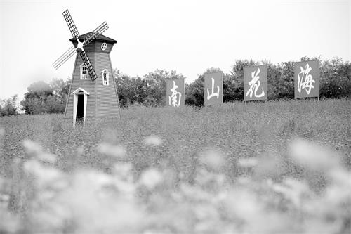 依托南湖公园而建的四季花海。记者 田凯平 摄.JPG