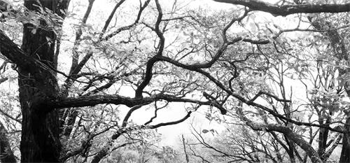 秋景1七2.JPG 秋景1七2.JPG