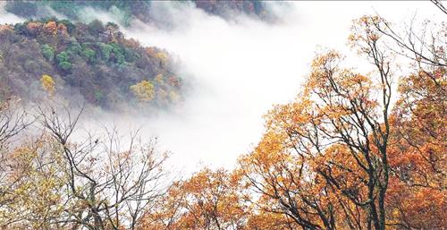 61101161529八版1.jpg 61101161529八版1.jpg