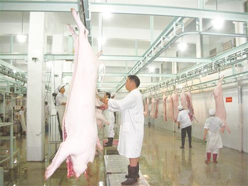 西商DSCN9984.jpg 西商DSCN9984.jpg