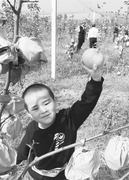 六未标11 拷贝.jpg