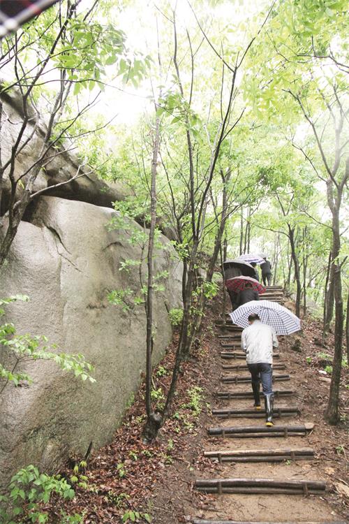 IMG五版6.jpg IMG五版6.jpg