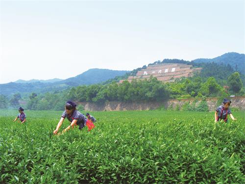 名企11151.JPG 名企11151.JPG