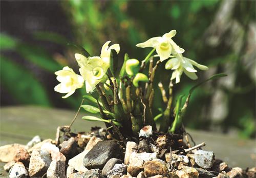 名企11153.jpg 名企11153.jpg