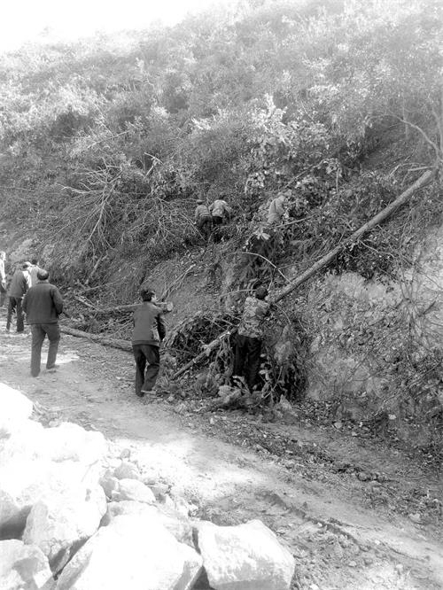 六B1500215.jpg 六B1500215.jpg