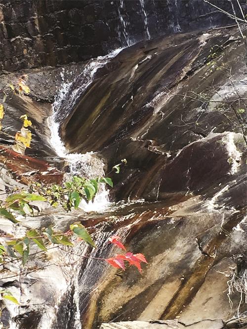 五版IMG_2401.JPG 五版IMG_2401.JPG