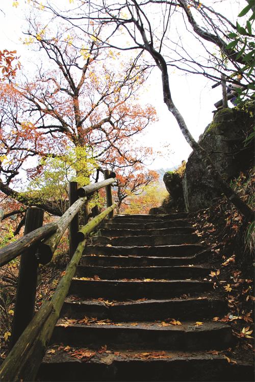 五版照片 224.jpg 五版照片 224.jpg