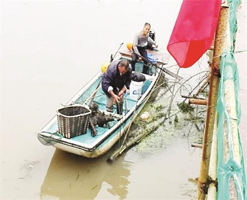 B1800236八版.JPG B1800236八版.JPG