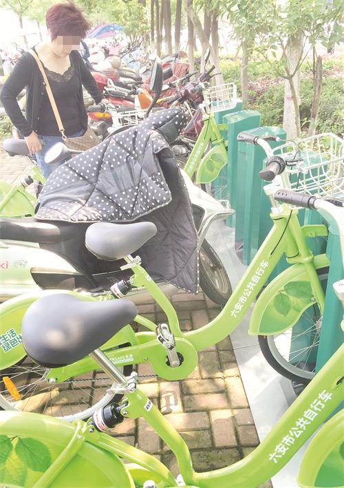 五C2001990.jpg 五C2001990.jpg