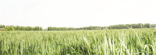 照片 1495五版.jpg