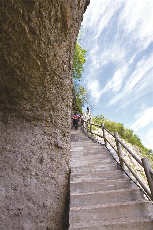 直上云梯 骆健.jpg 直上云梯 骆健.jpg