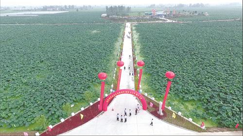 荷花节开幕式.jpg 荷花节开幕式.jpg